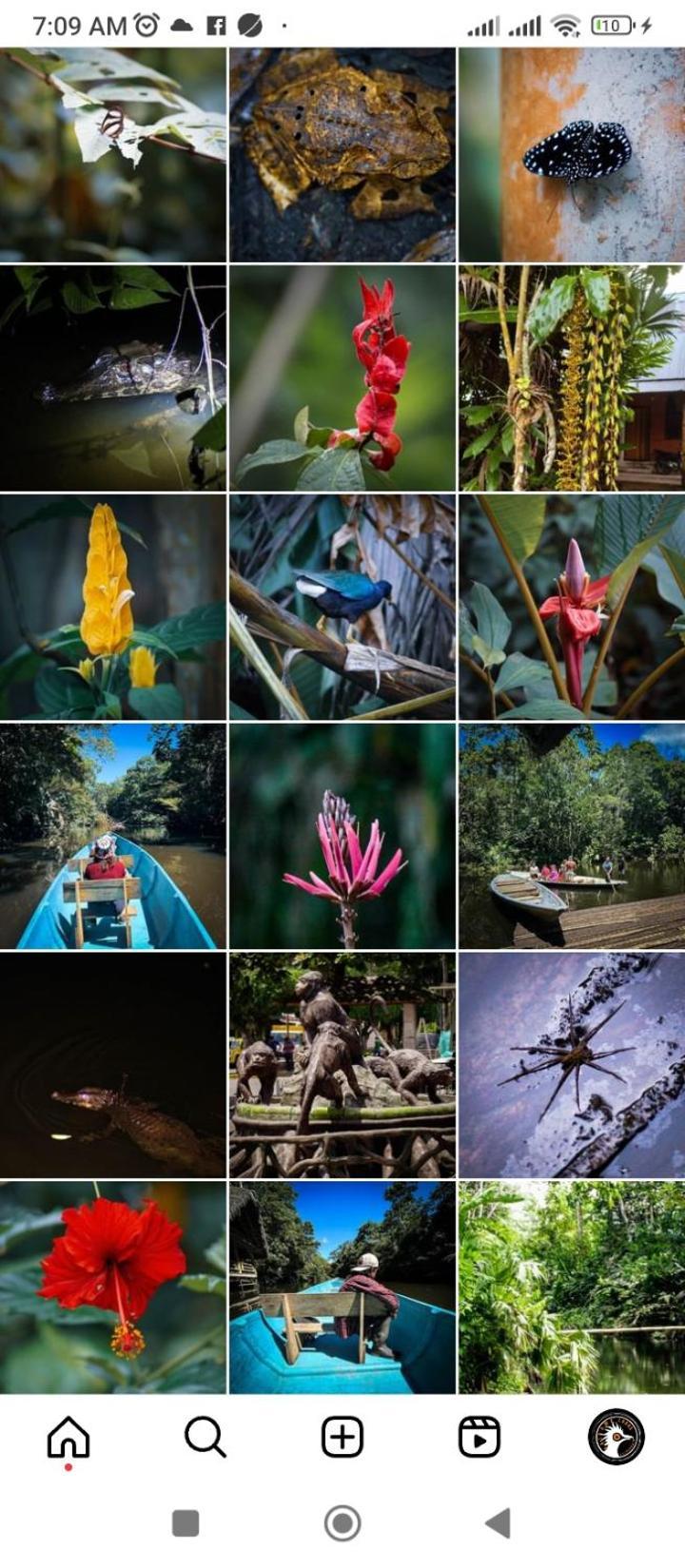 Misahualli Laguna Paikawe B&B Esterno foto