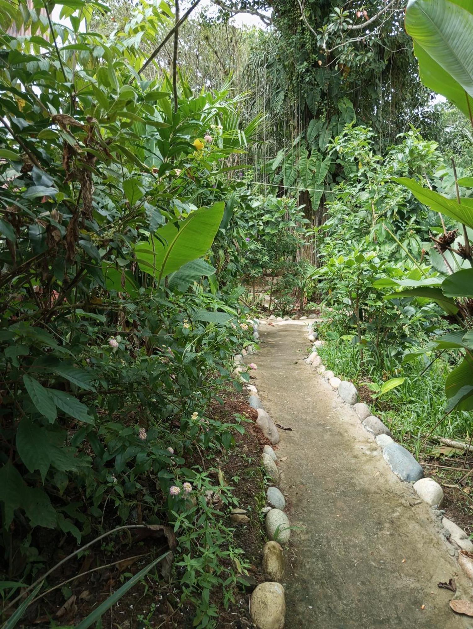 Misahualli Laguna Paikawe B&B Esterno foto