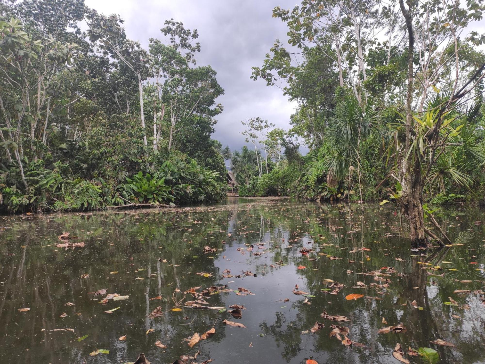Misahualli Laguna Paikawe B&B Camera foto